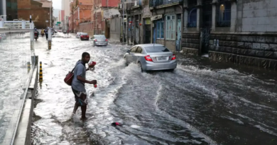 Rio de Janeiro (RJ) adota modelo de "cidade esponja" para controlar enchentes