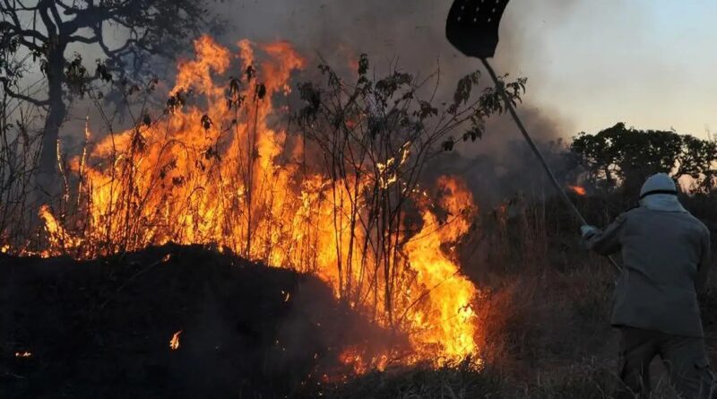 Brasil tem aumento de 107% nos focos de incêndios florestais